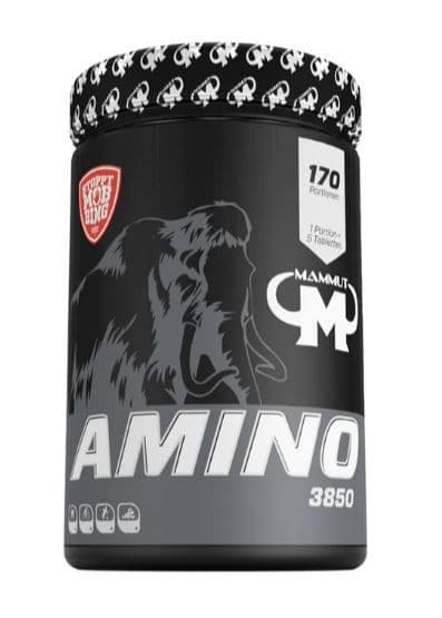 Mammut Nutrition Amino 3850+ Calcium 850 tab фото