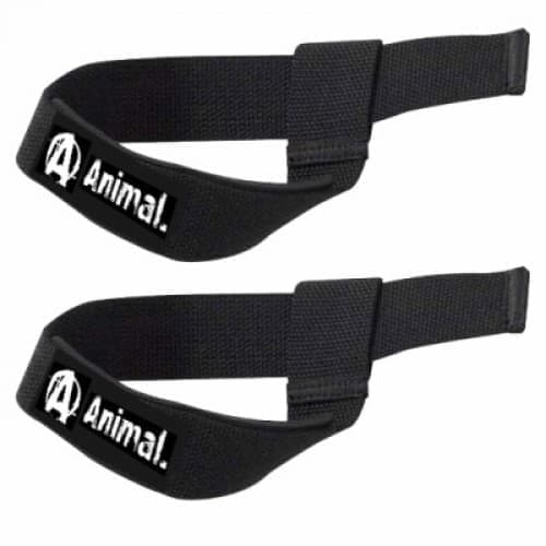 Universal Animal Lifting Straps